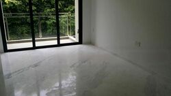 Wishart Road (D4), Condominium #519903721